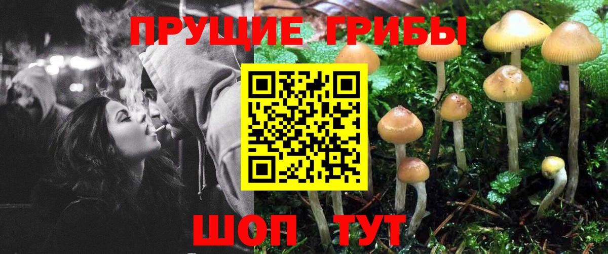 Галлюциногенные грибы Cubensis  Вход с VPN  купить наркоту  Прокопьевск 
