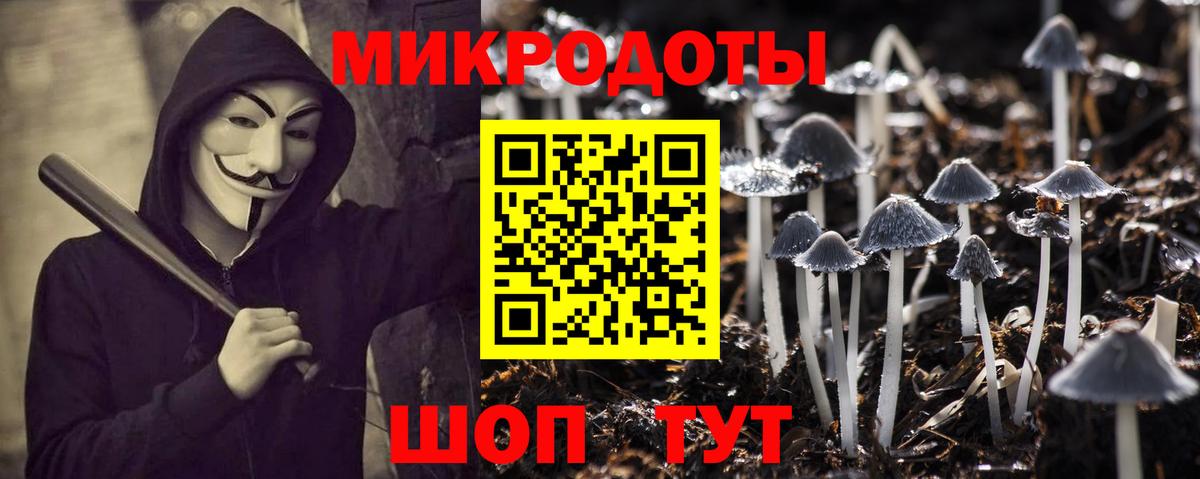 Псилоцибиновые грибы GOLDEN TEACHER Прокопьевск
